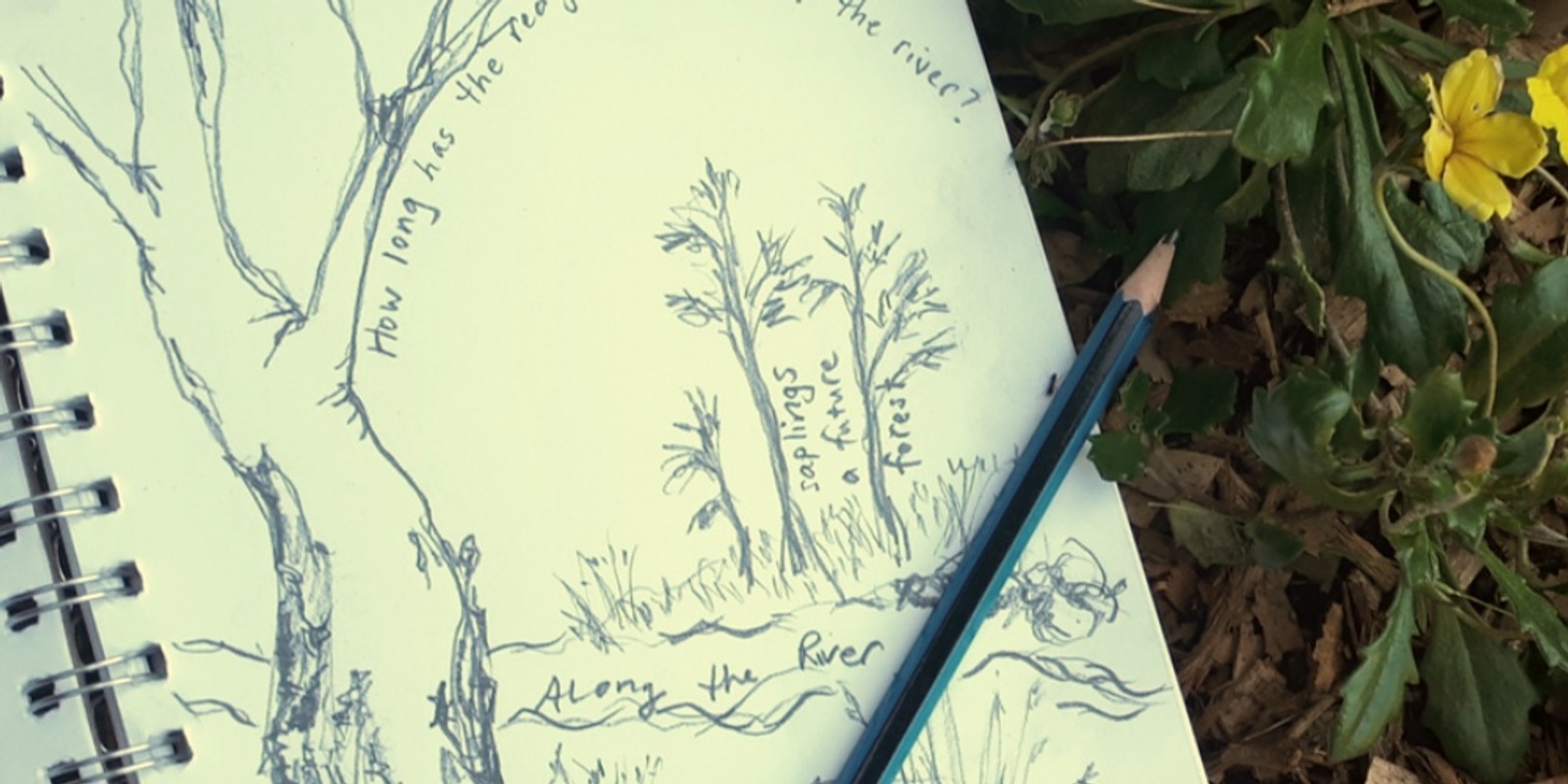 Banner image for Nature Journaling Workshop (all ages, 7 and up)