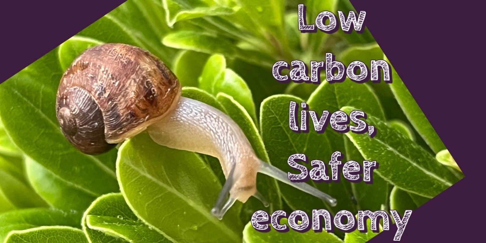 Banner image for Low carbon lives, safer economy