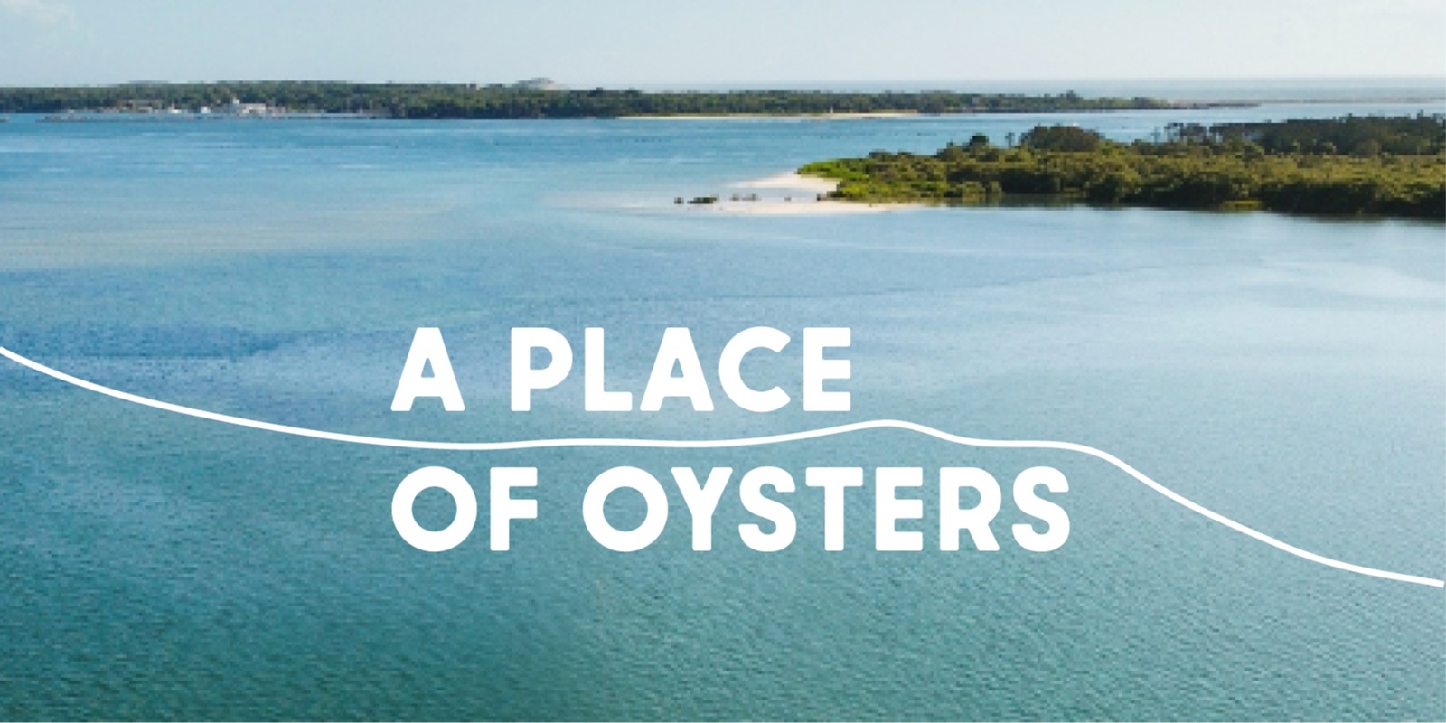 Banner image for A place of oysters