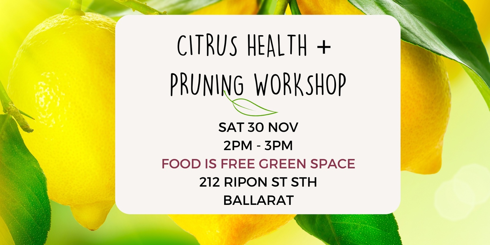 Banner image for Healthy Citrus Workshop with Pippa from Food Is Free Inc. 30 Nov