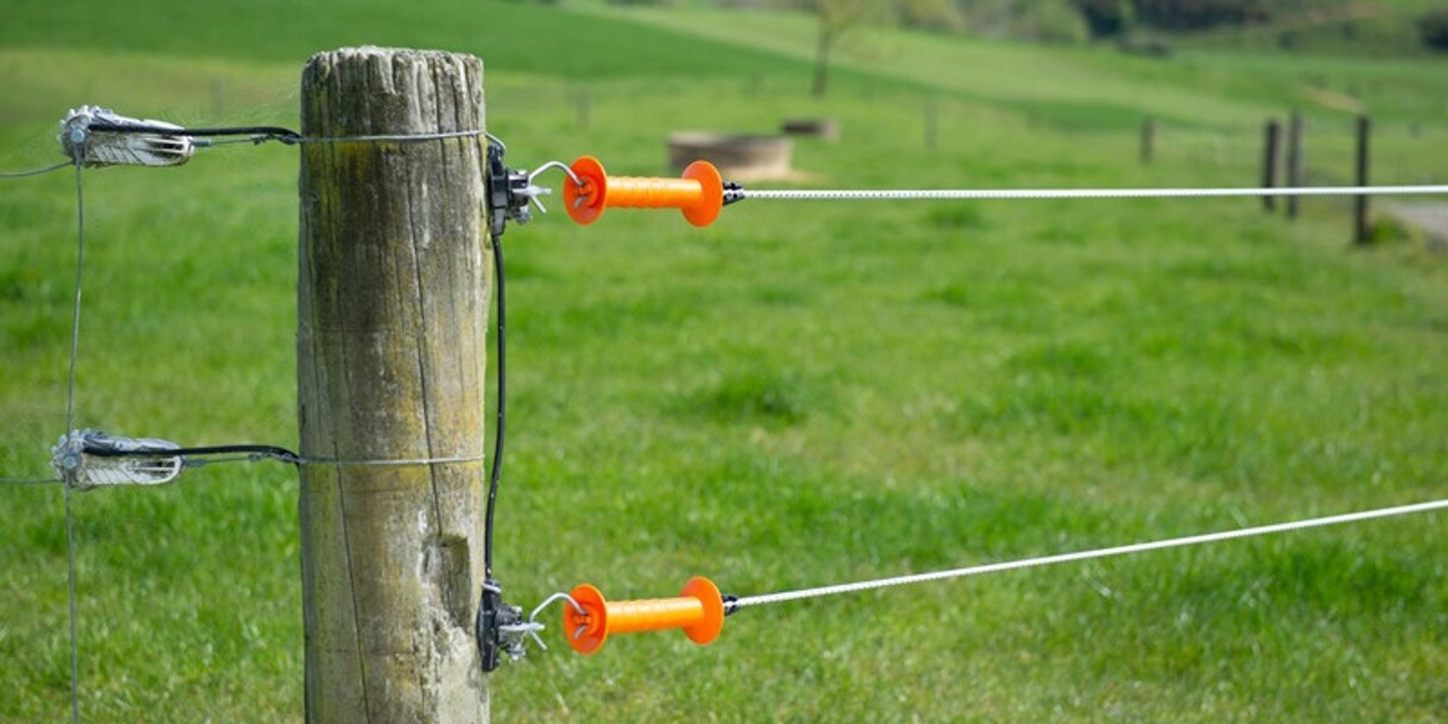 Banner image for Temporary Fencing Workshop