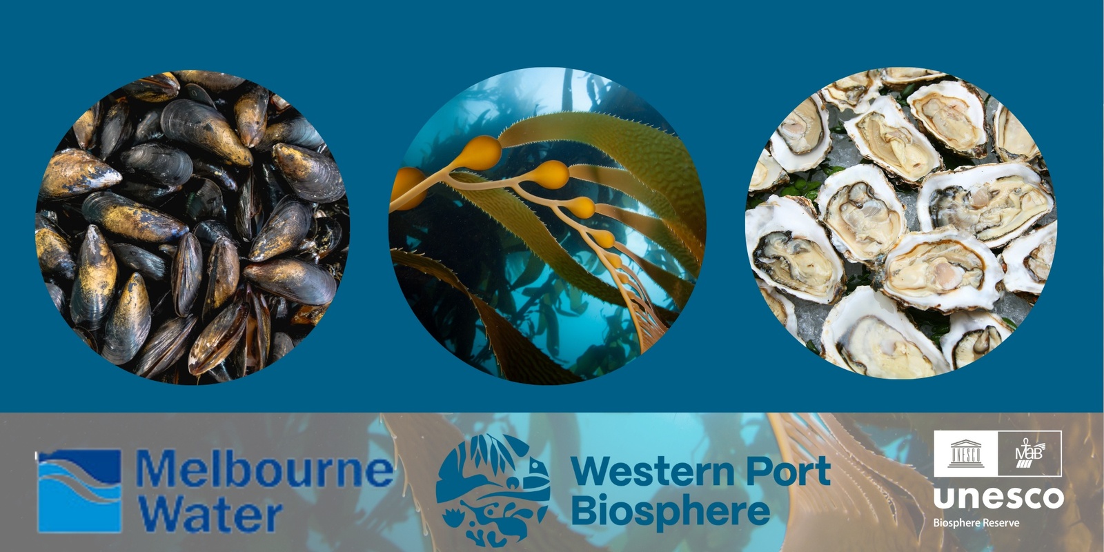 Banner image for Sustainable Aquaculture in Western Port