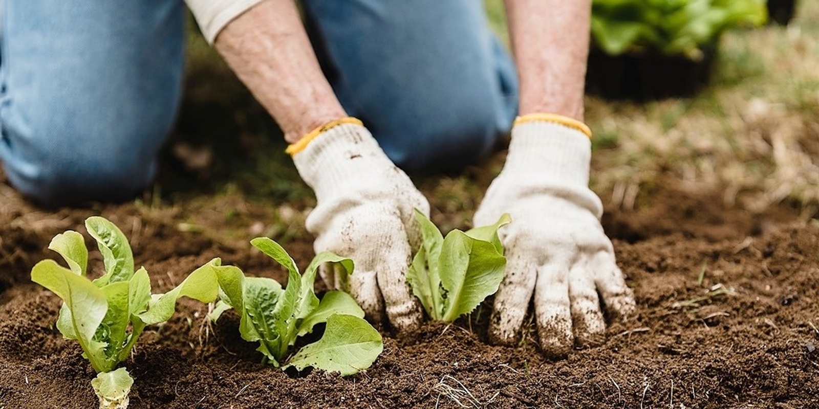 Banner image for Introduction to Permaculture Online Workshop