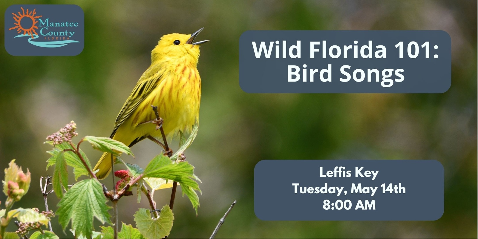 Banner image for Wild FL 101: Bird Songs at Leffis Key