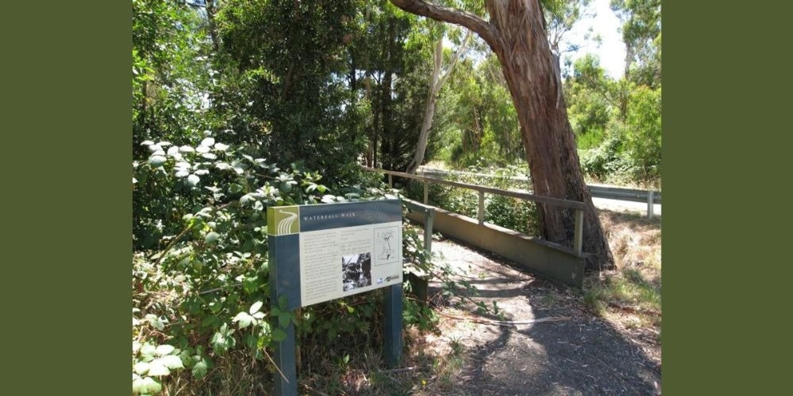 Banner image for Planting along Railway Creek