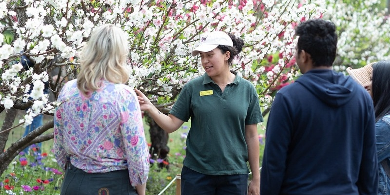 Banner image for Discover Fernhill - Guided Tours