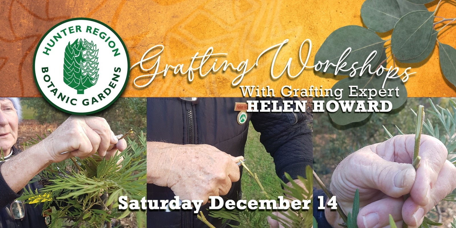 Banner image for Grafting Workshop