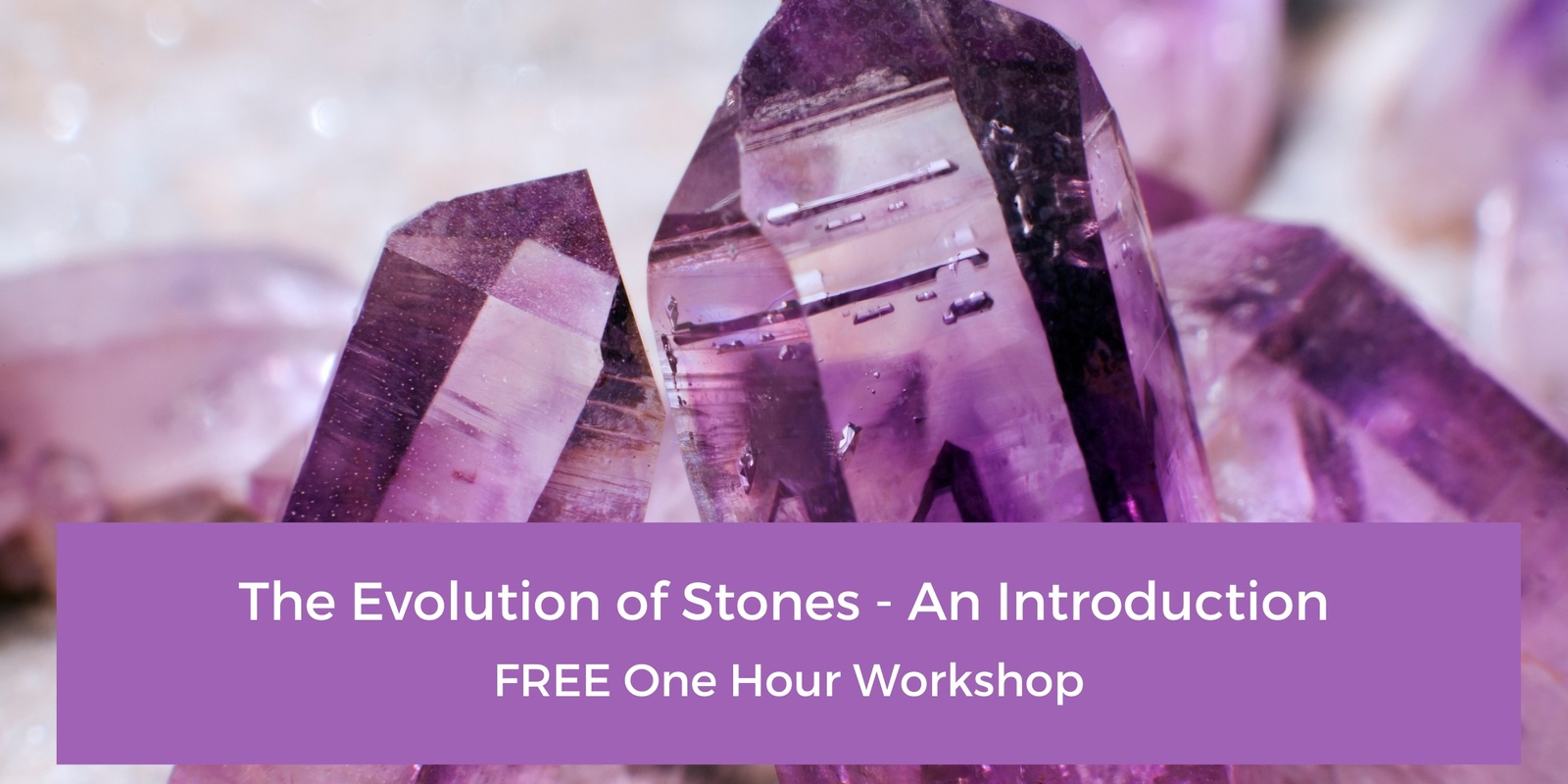 Banner image for The Evolution of Stones: an Introduction