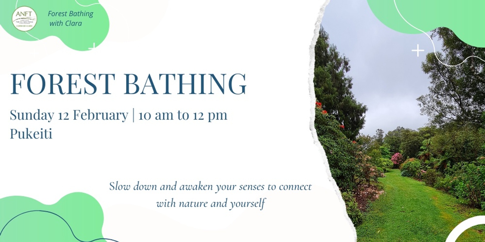 Banner image for Forest Bathing - Guided Nature Connection in Pukeiti