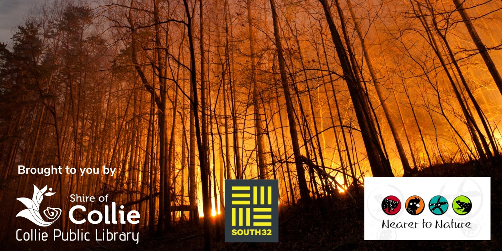 Banner image for Nearer to Nature: Bush Fires