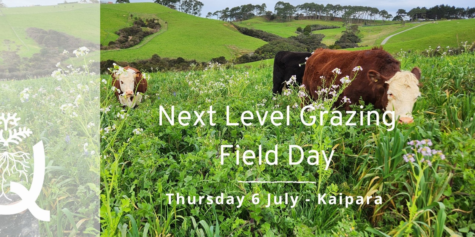 Banner image for Kaipara Next Level Grazing Field Day