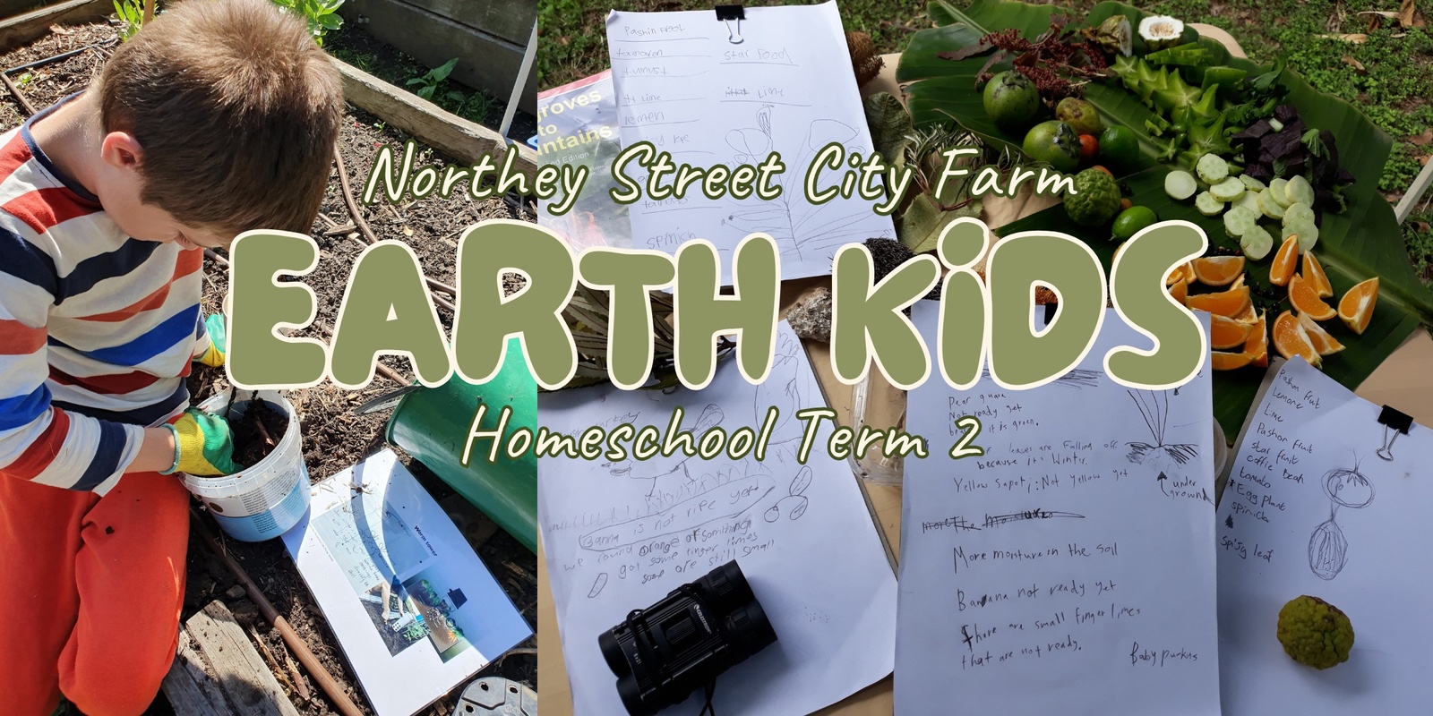 Banner image for Term 2/2025 Earth Kids Homeschool Program - Wednesday Mornings