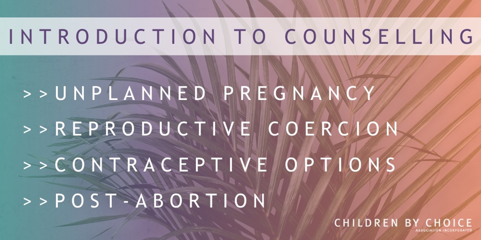 Banner image for Introduction to counselling: unplanned pregnancy, reproductive coercion, contraceptive options & post-abortion