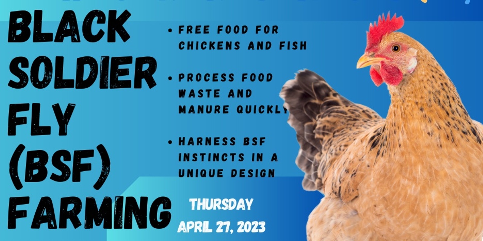 Banner image for Black Soldier Fly Farming Workshop