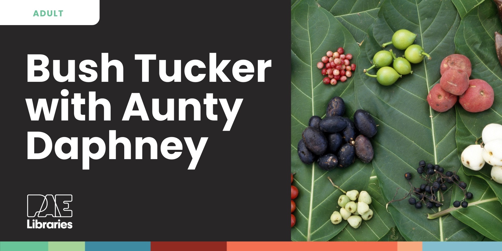 Banner image for Bush Tucker Talk and Tasting with Aunty Daphney