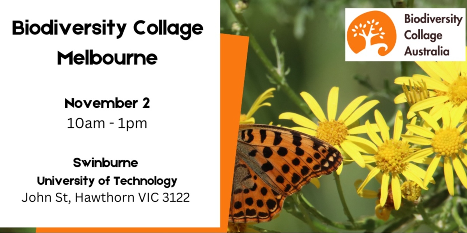 Banner image for Biodiversity Collage Melbourne