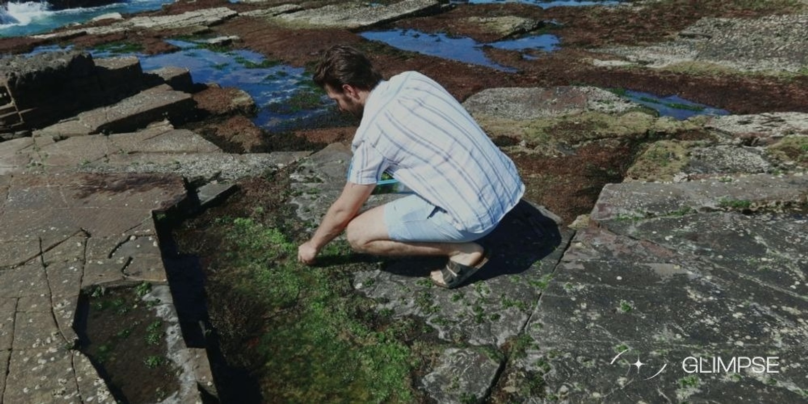 Banner image for Coastal Foraging Tour with Elijah Attard