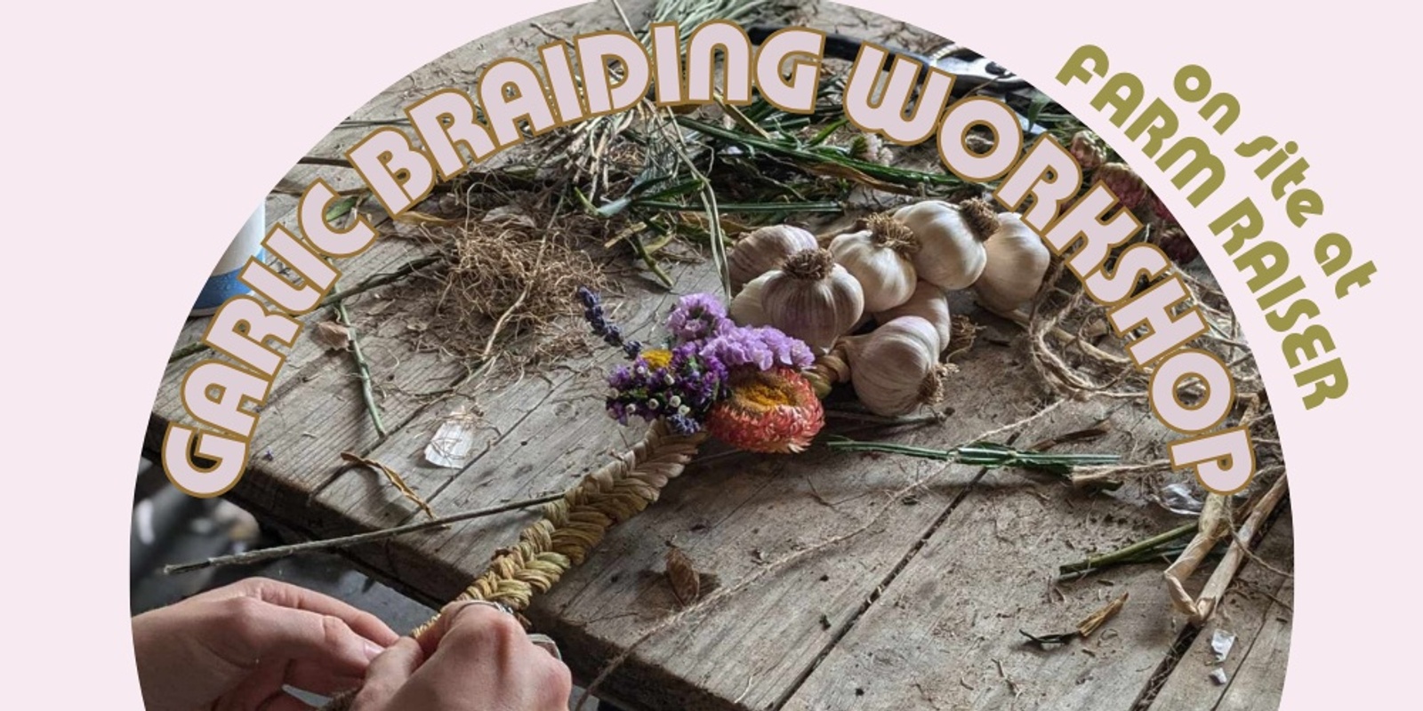 Banner image for On Farm Garlic Braiding Workshop