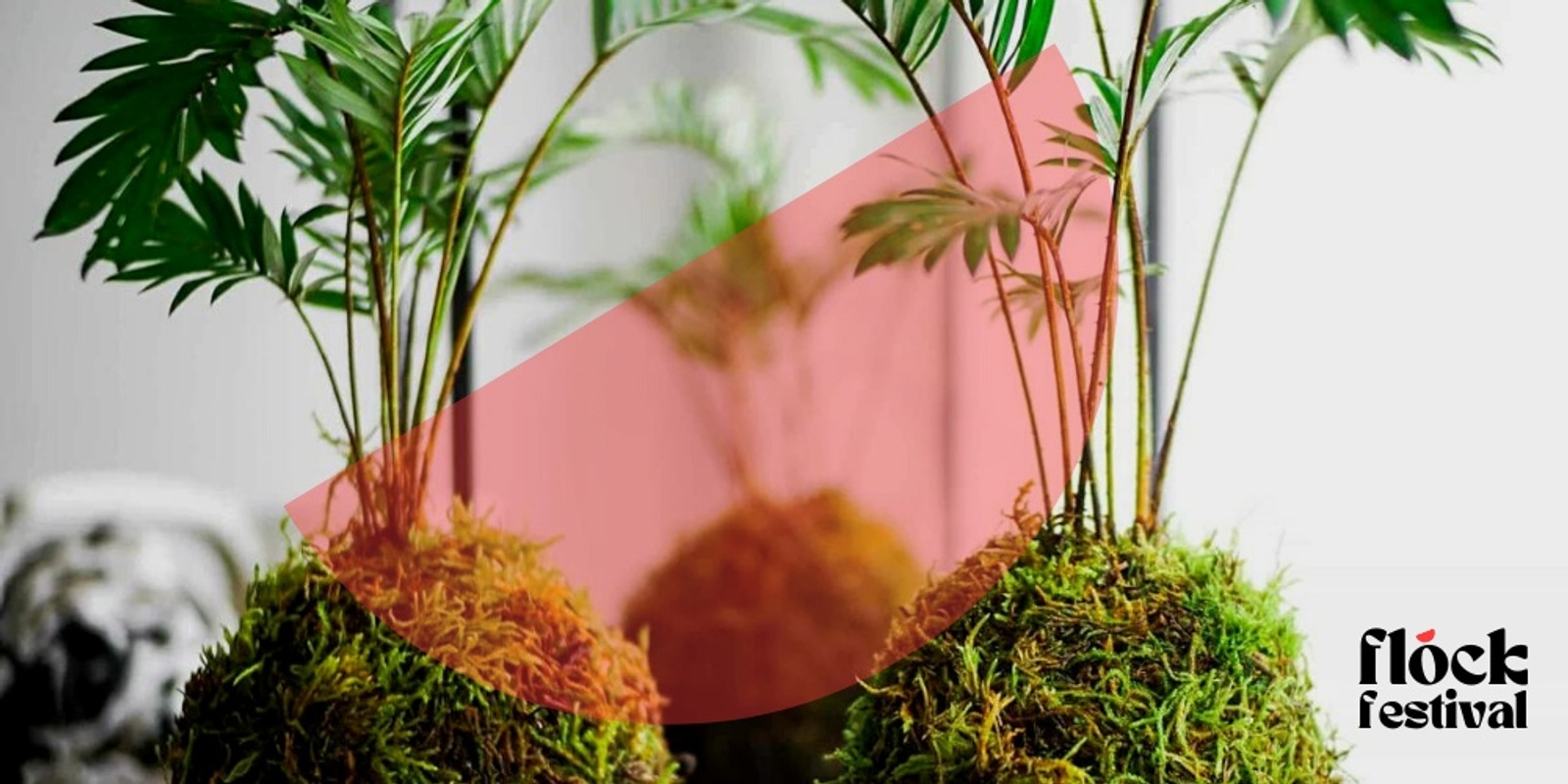 Banner image for FLOCK Festival | KOKEDAMA WORKSHOP with Leaf & Moss Studio