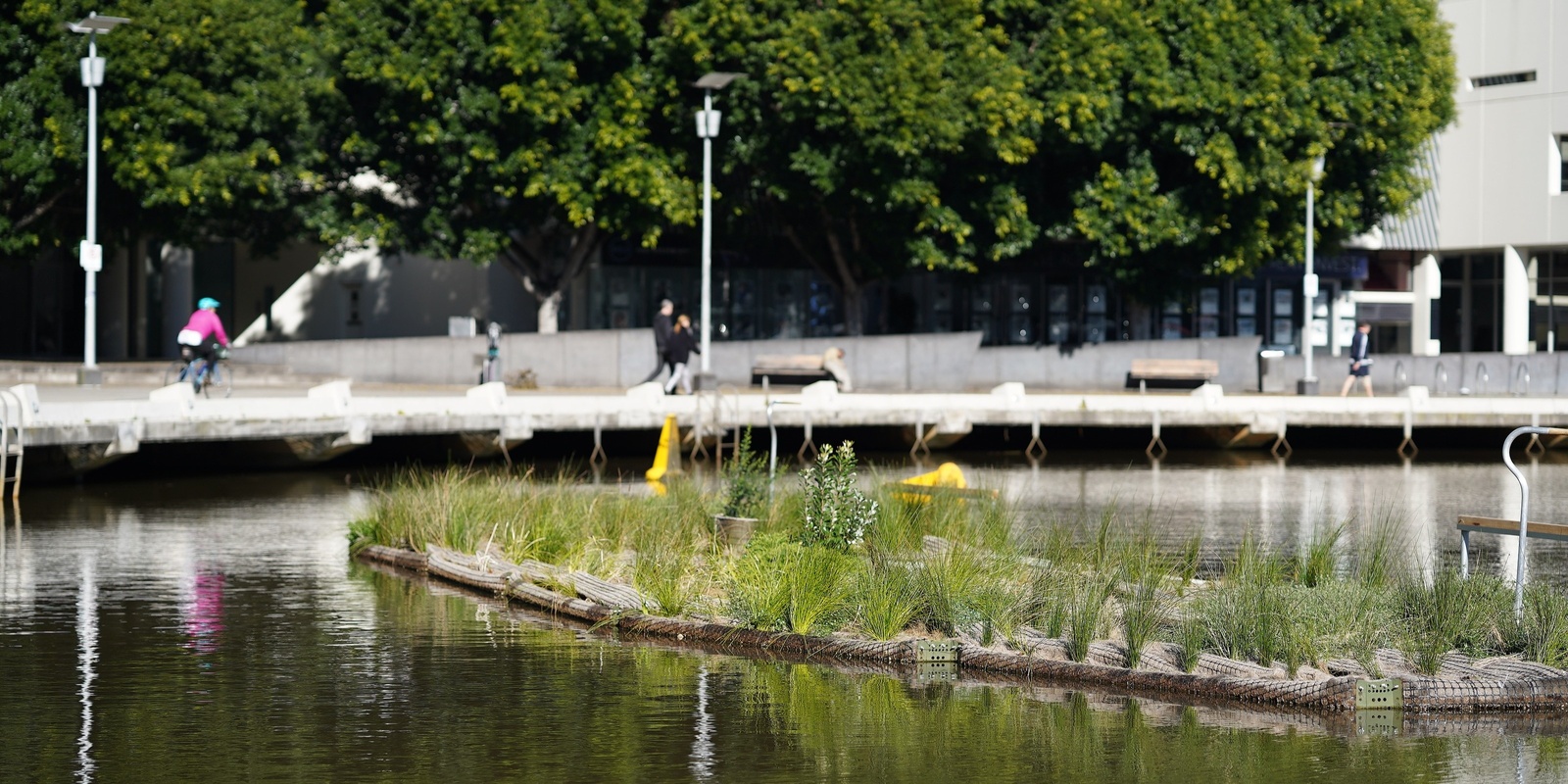 Banner image for Floating Wetlands: Docklands to Enterprize Park