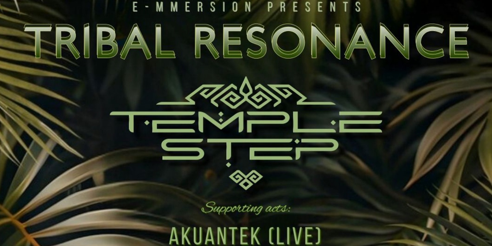 Banner image for TRIBAL RESONANCE - with Temple Step Project & Special Guests