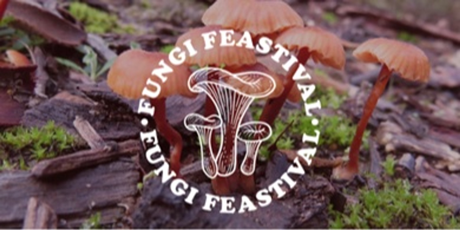 Banner image for Fungi Feastival Dinner at the Drom