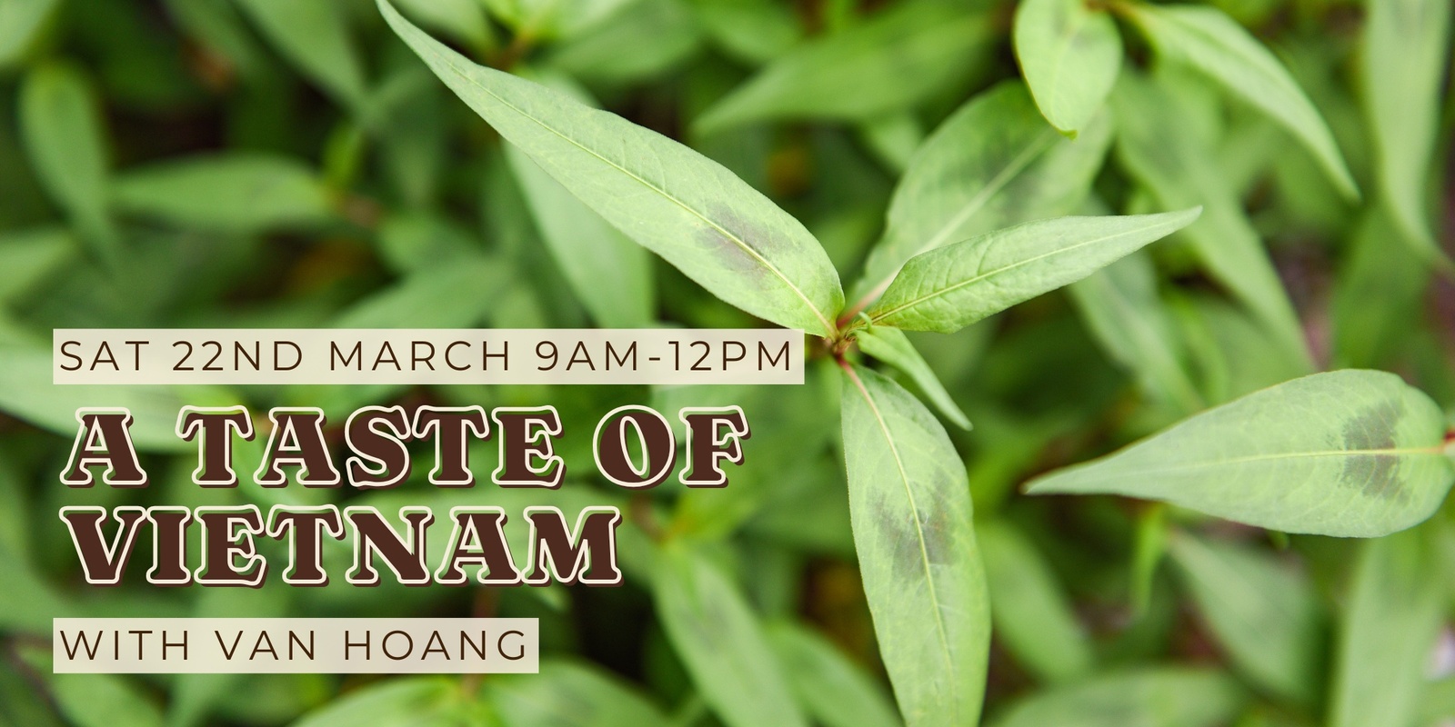 Banner image for A Taste of Vietnam with Van Hoang