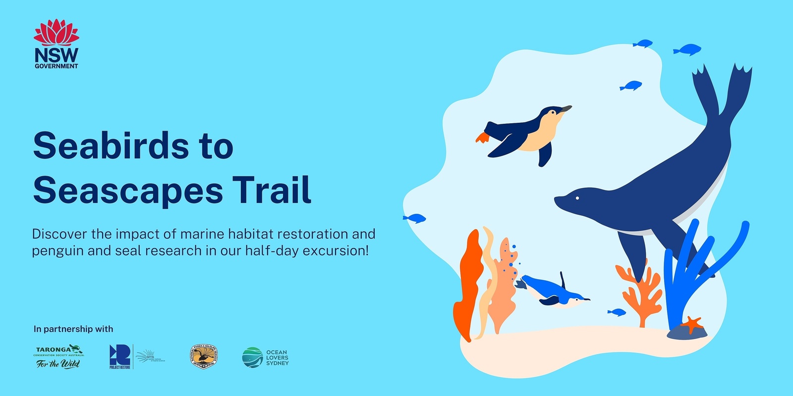 Banner image for Ocean Lovers Festival - Seabirds to Seascapes Trail