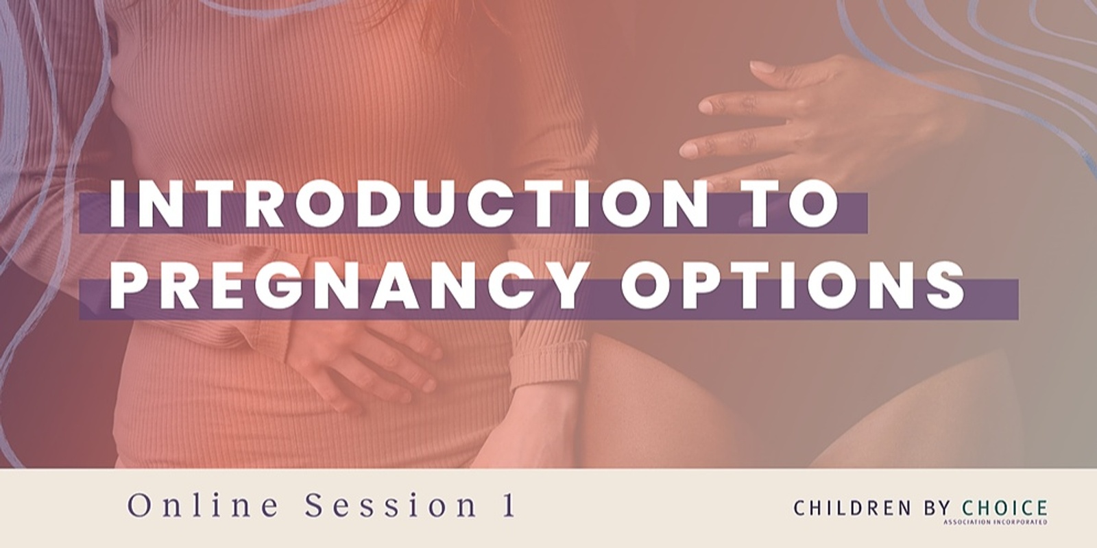 Banner image for Introduction to Pregnancy Options