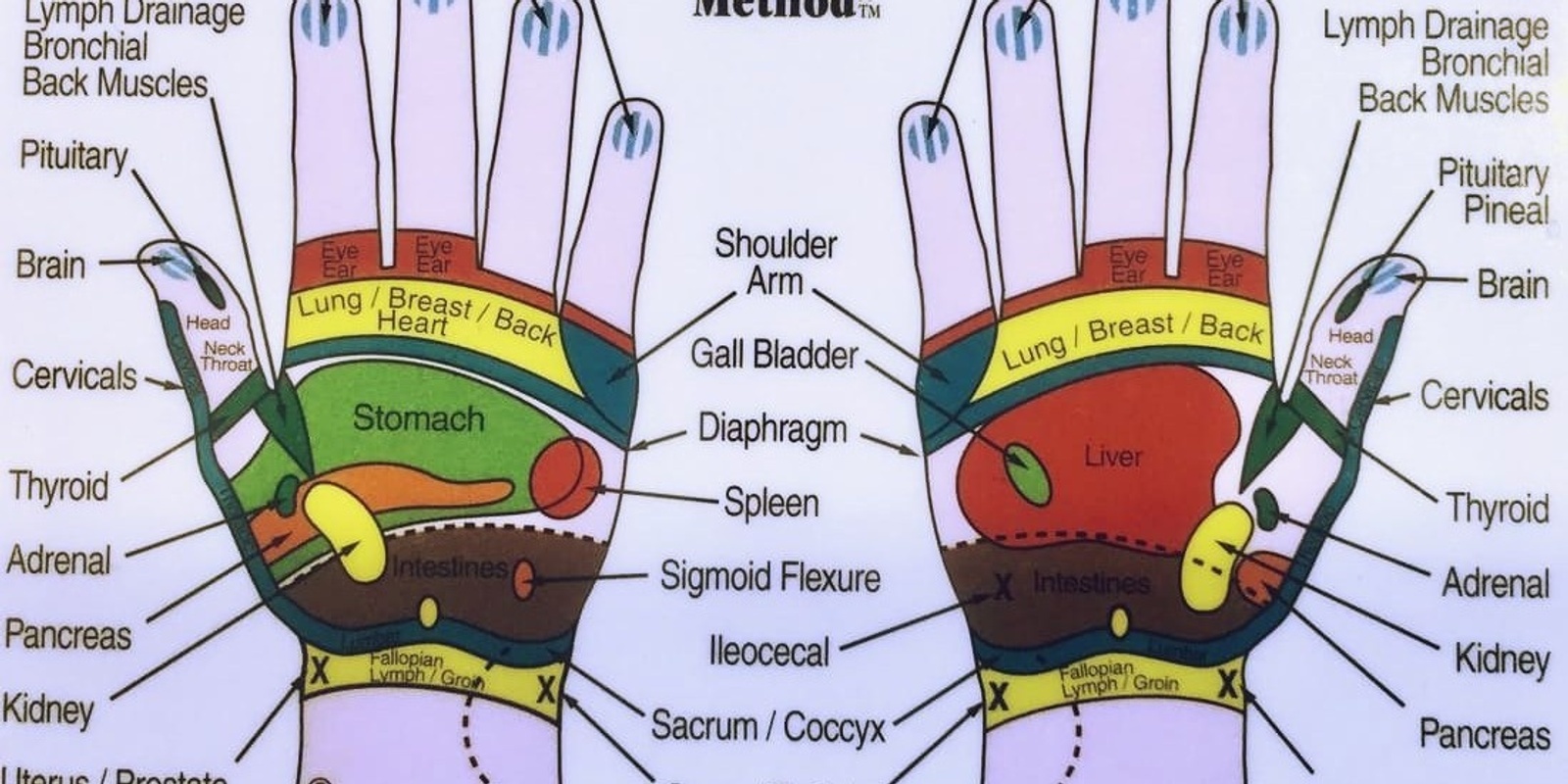 Hand reflexology