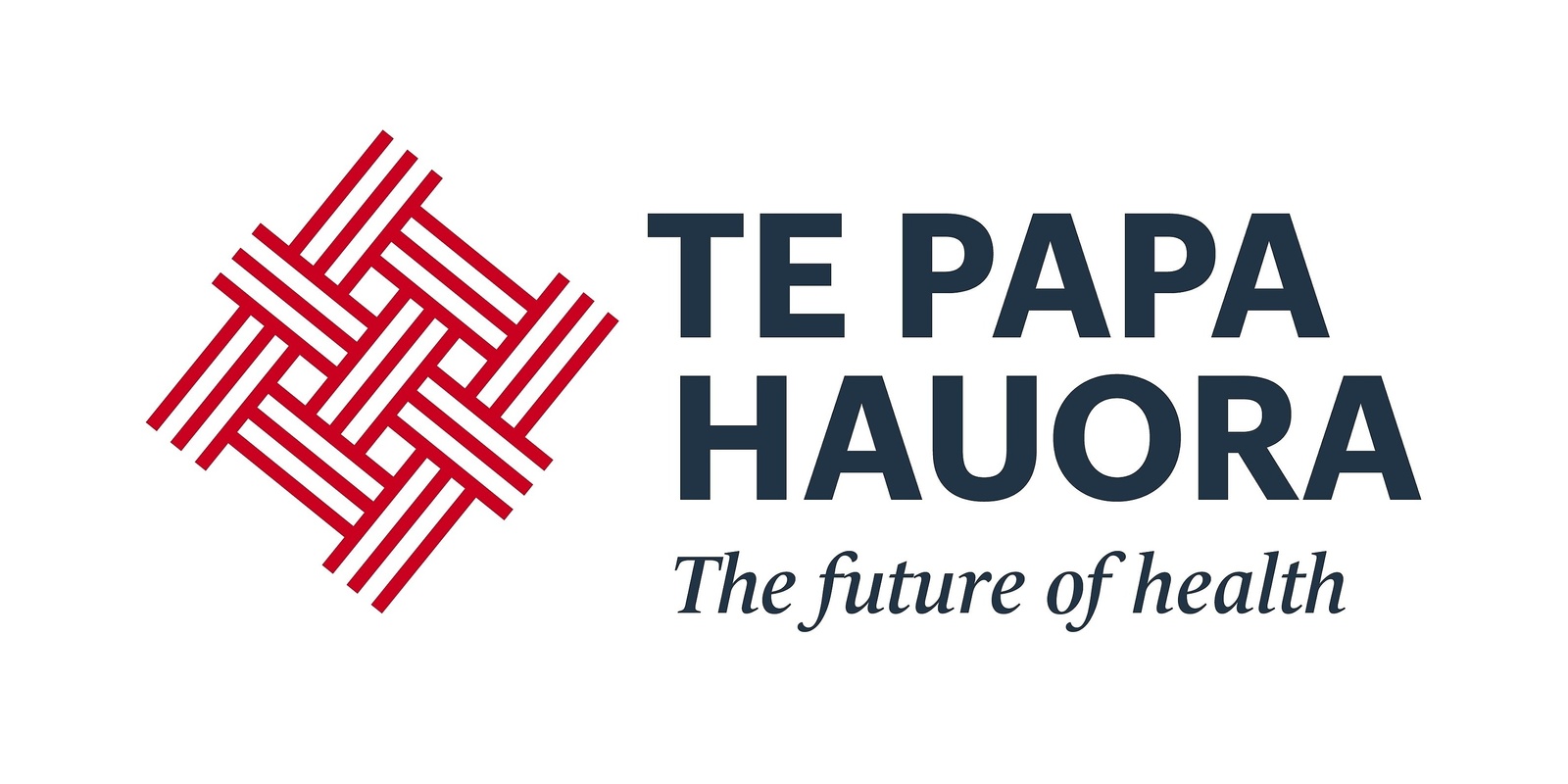 Te Papa Hauora Health Precinct's banner