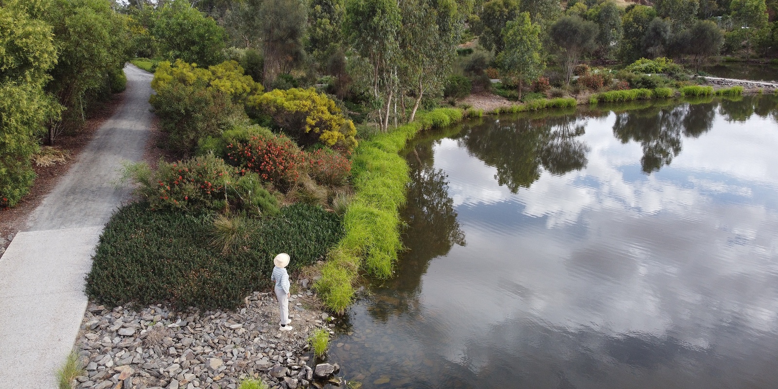 Banner image for Nature Mindfulness Walk