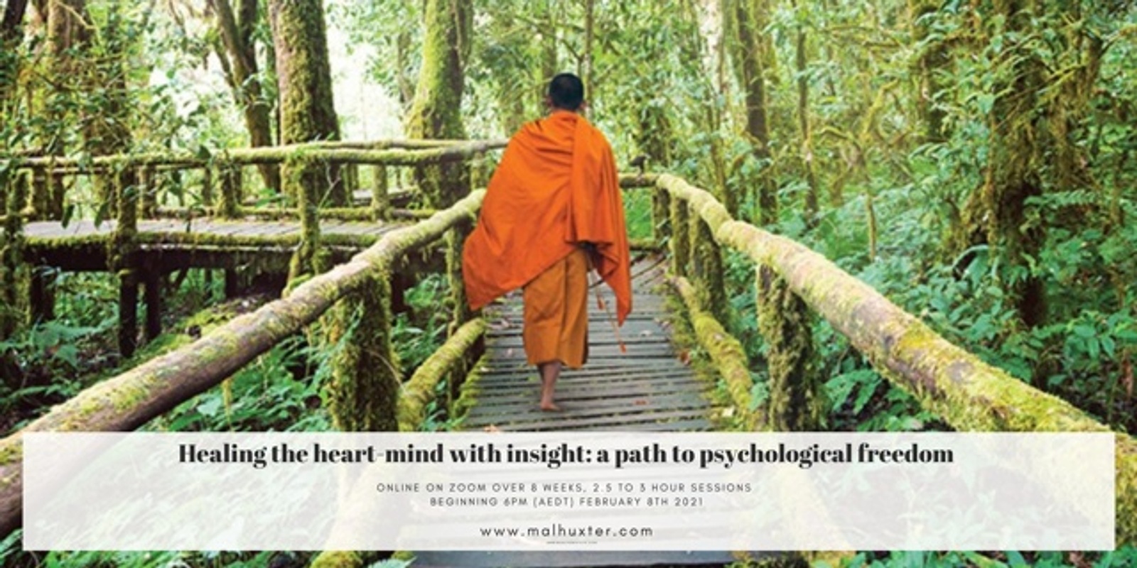 Banner image for Healing the heart-mind with insight 