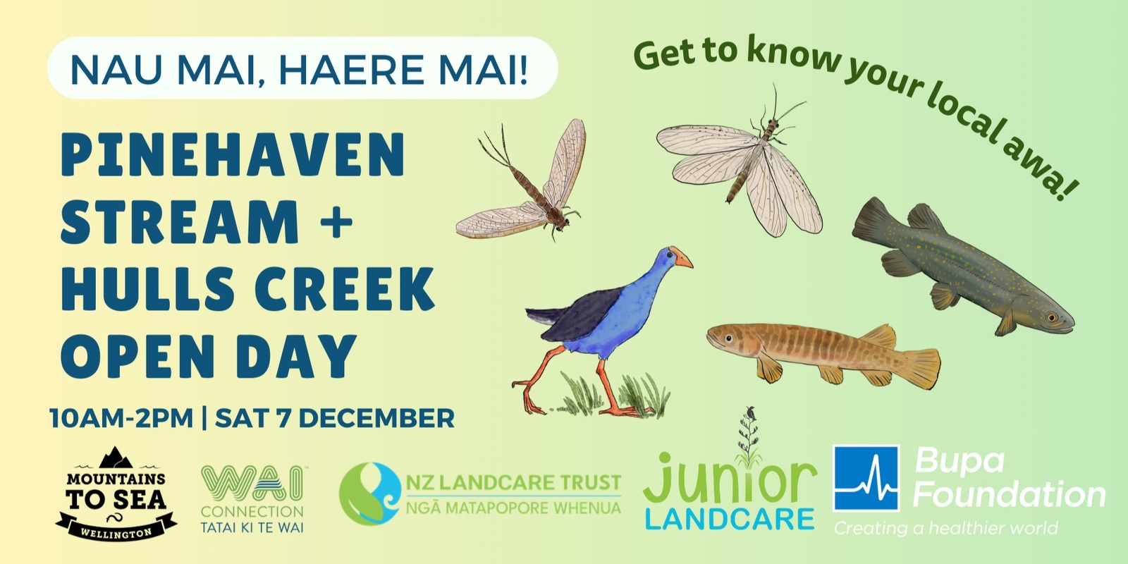 Banner image for Pinehaven Stream + Hulls Creek Community Open Day