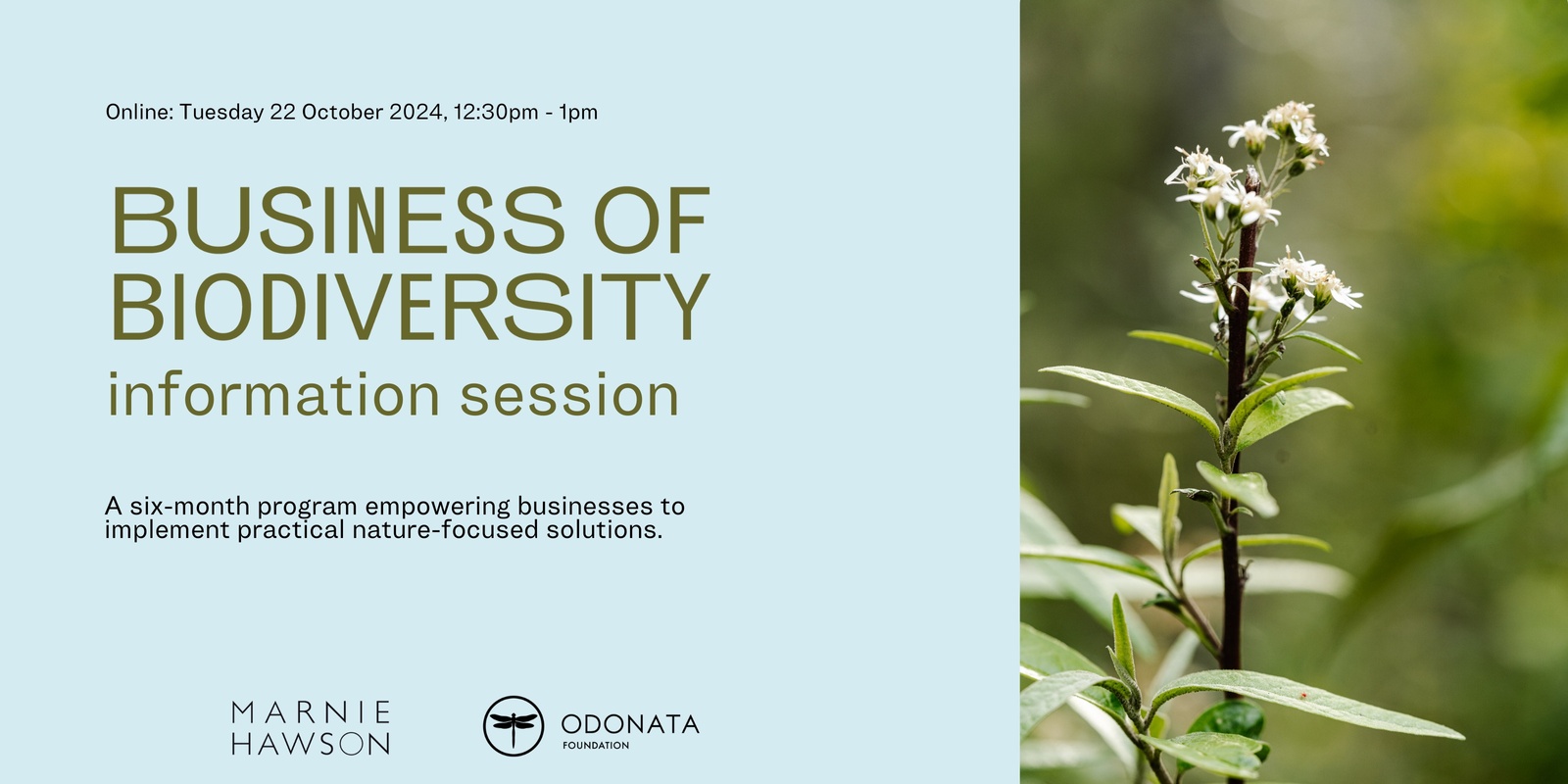 Banner image for 2025 Business of Biodiversity information session