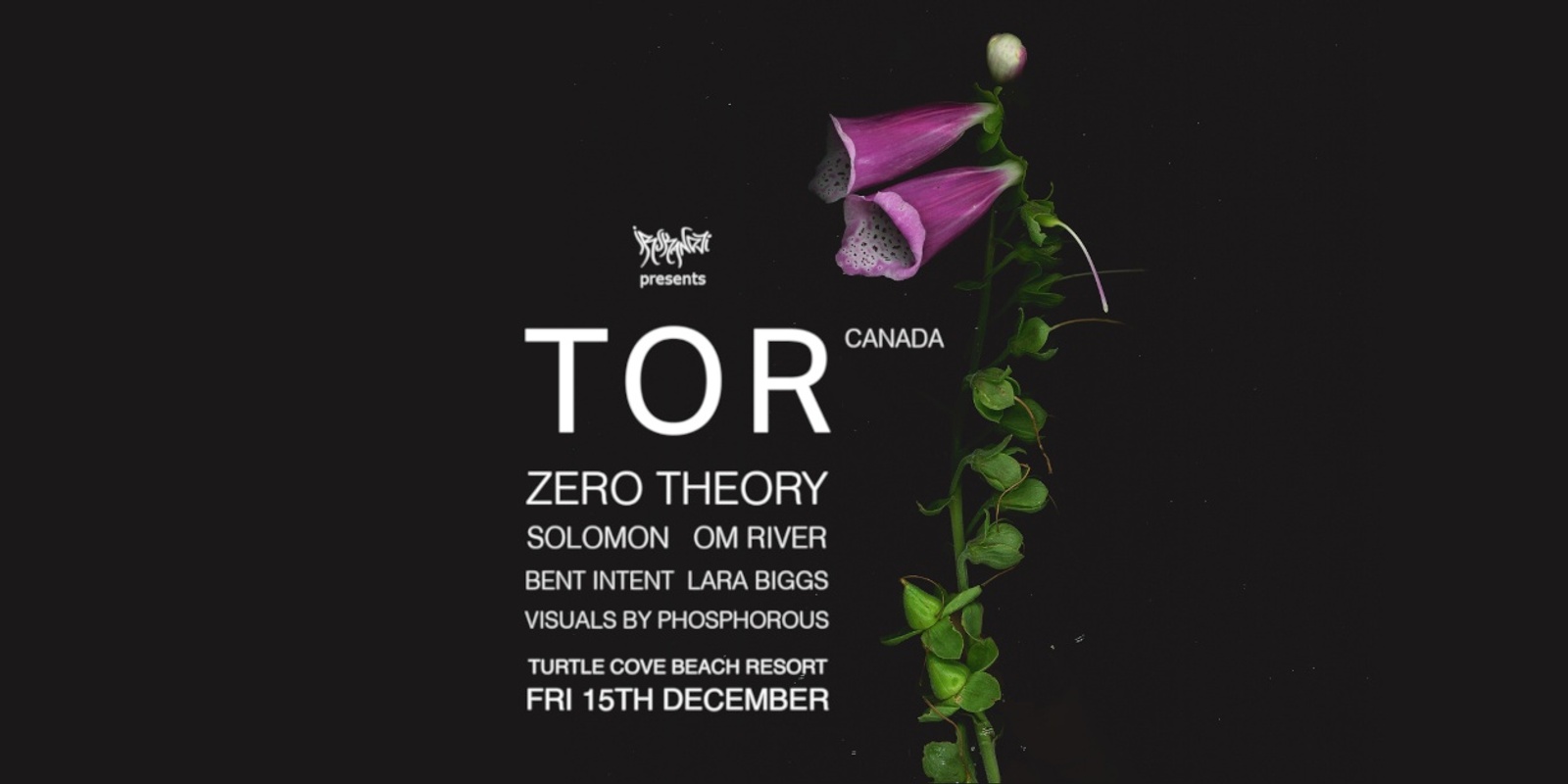 Banner image for TOR (CANADA) + ZERO THEORY + MORE