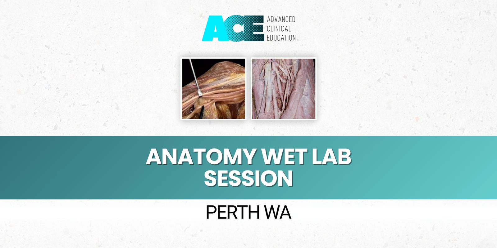 Banner image for Anatomy Wet Lab Session - Whole body (Perth WA)