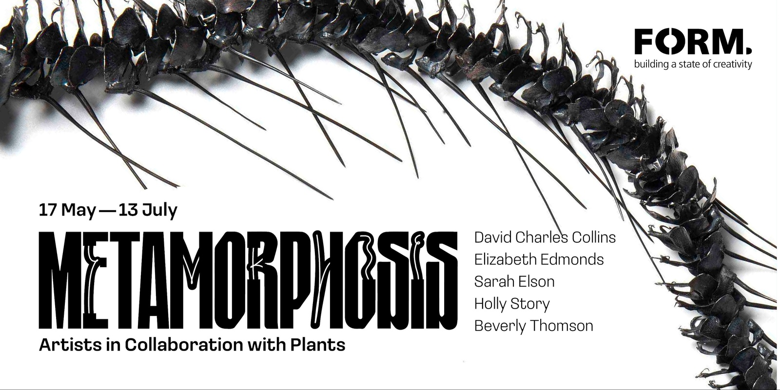 Banner image for Exhibition Launch | Metamorphosis: Artists in collaboration with plants.