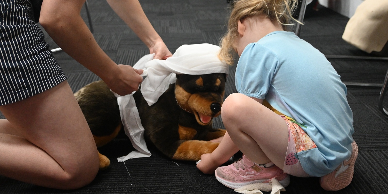 Banner image for Pet First Aid for Kids (All Ages) - Jan 2025