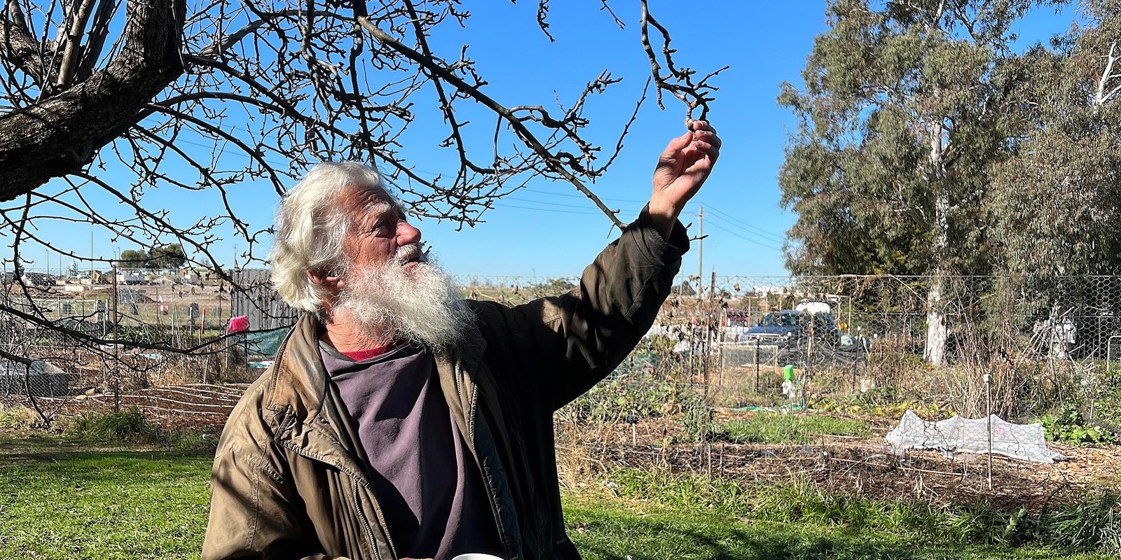 Banner image for Pruning Fruit Trees (Winter)