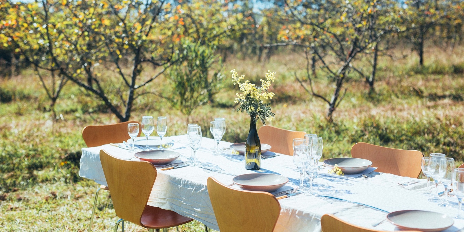 Banner image for Lyttleton's Last Long Lunch at Bilpin Springs Farm