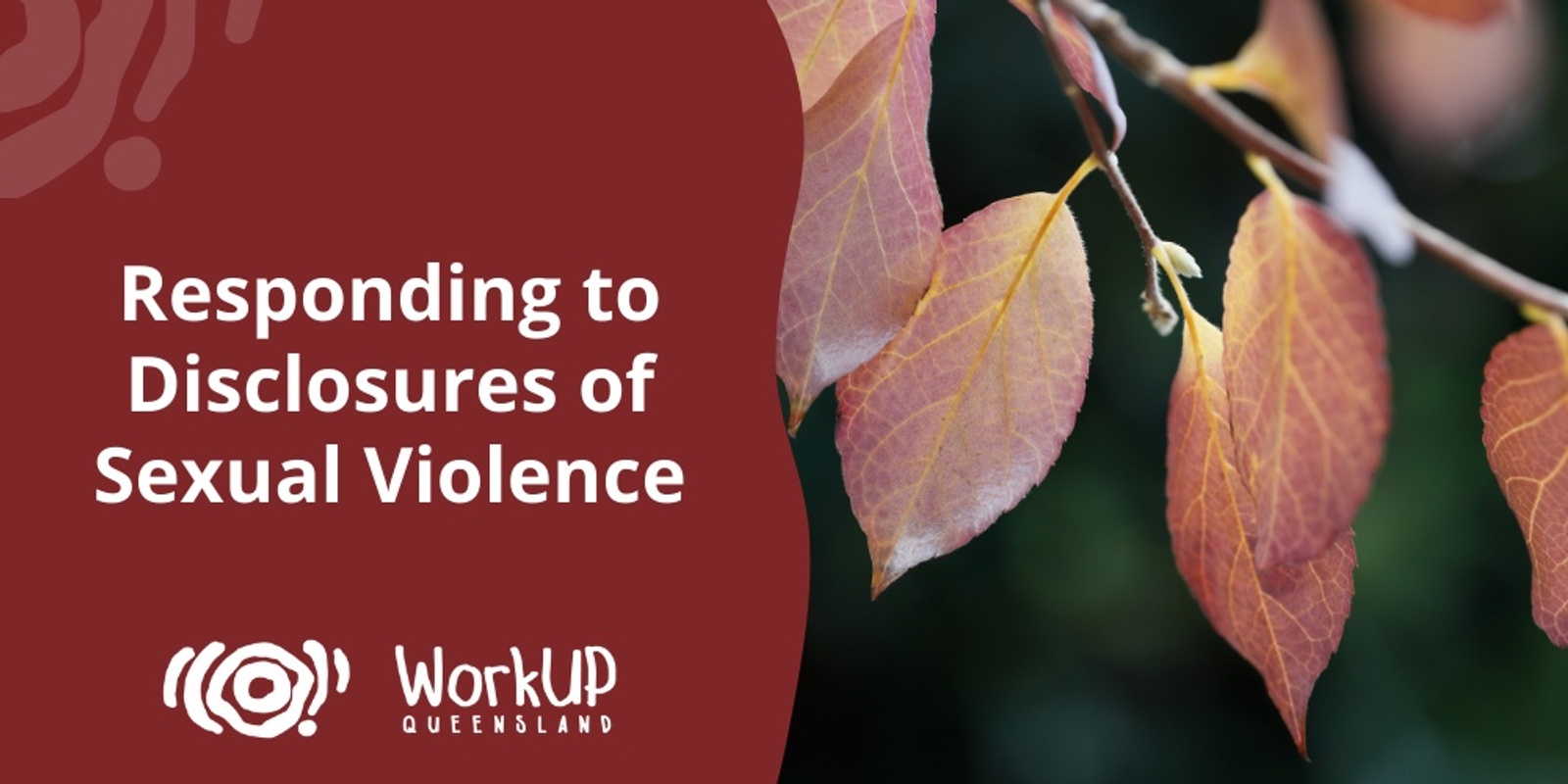 Responding To Disclosures Of Sexual Violence Two Part Series Online Humanitix