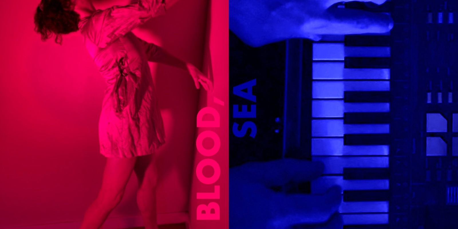 Banner image for Blood, Sea