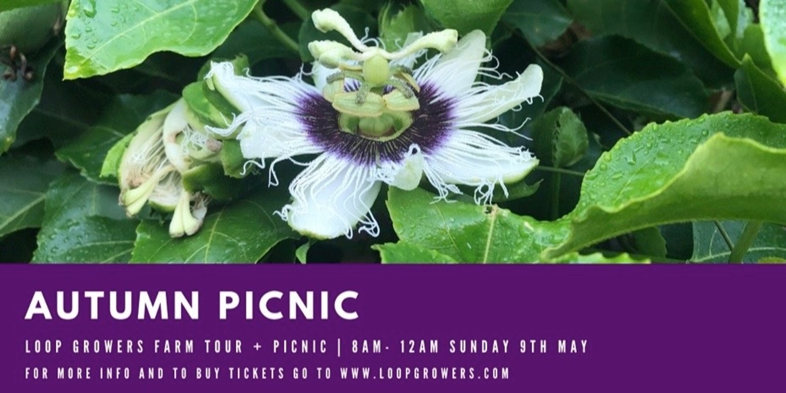 Banner image for Loop Growers Autumn Picnic
