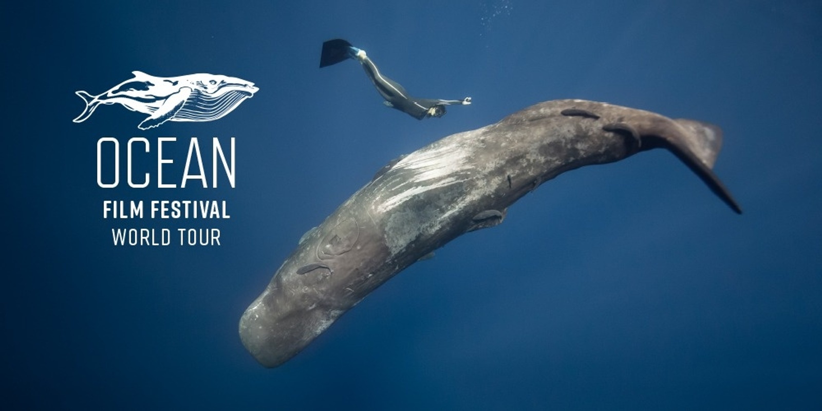 Banner image for Ocean Film Festival World Tour - Wellington Wed 19 Mar 25 6:30pm