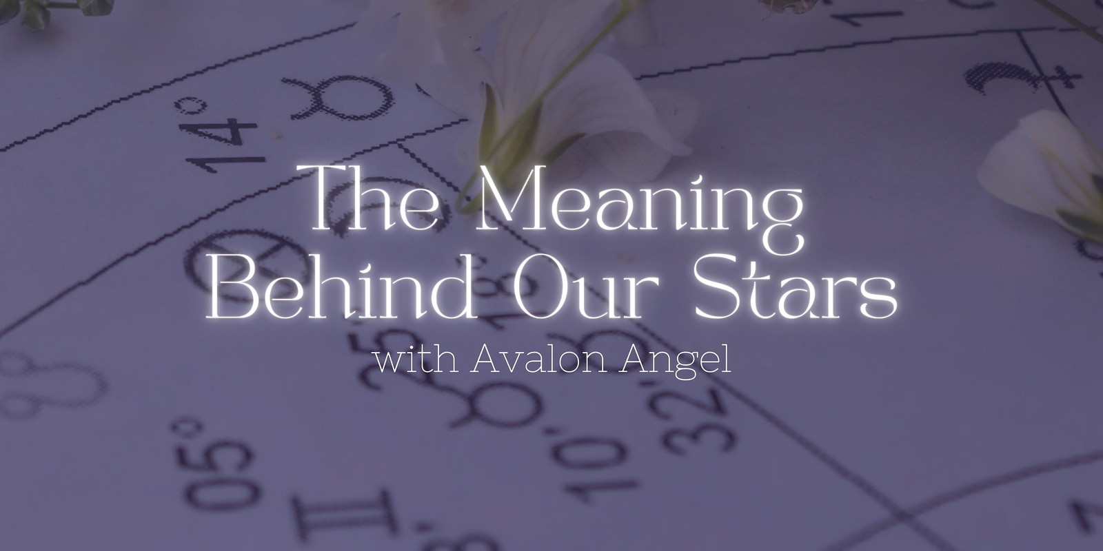 Banner image for The Purpose Of Astrology: The Meaning Behind The Stars