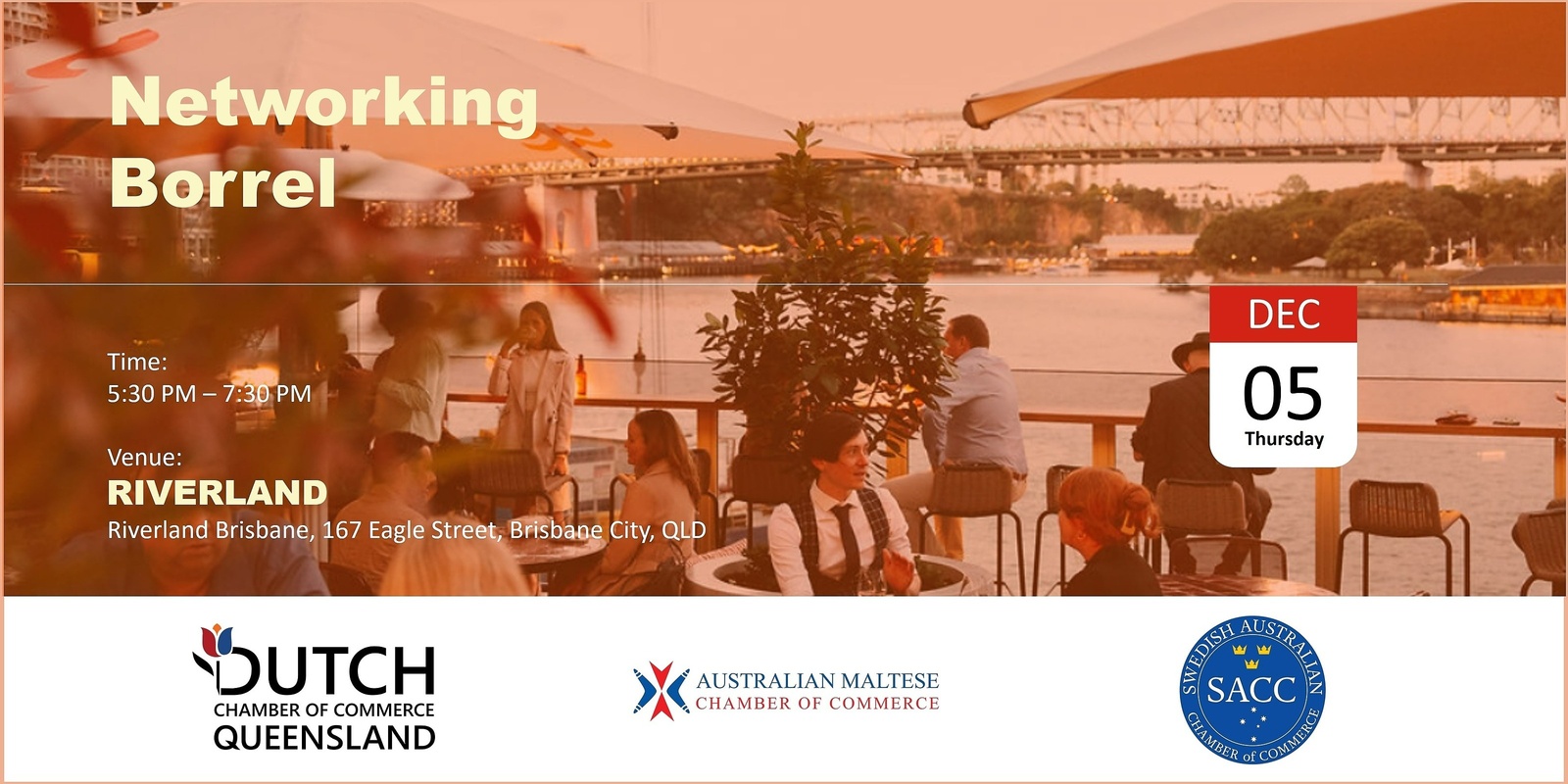 Banner image for Business Networking Borrel