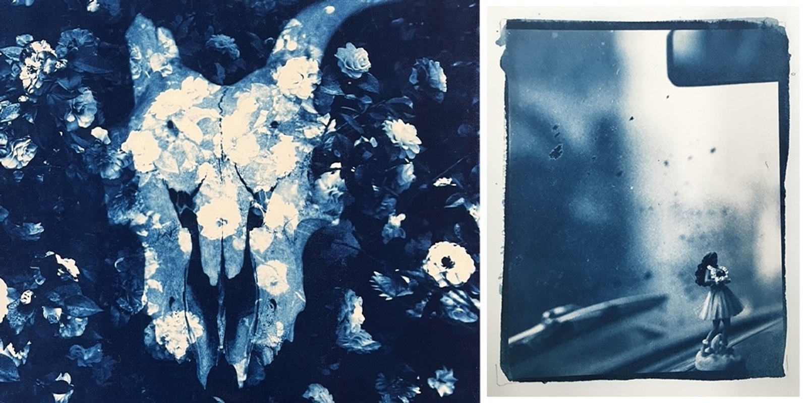 Banner image for CYANOTYPE - CREATING CYANOTYPES FROM DIGITAL NEGATIVES