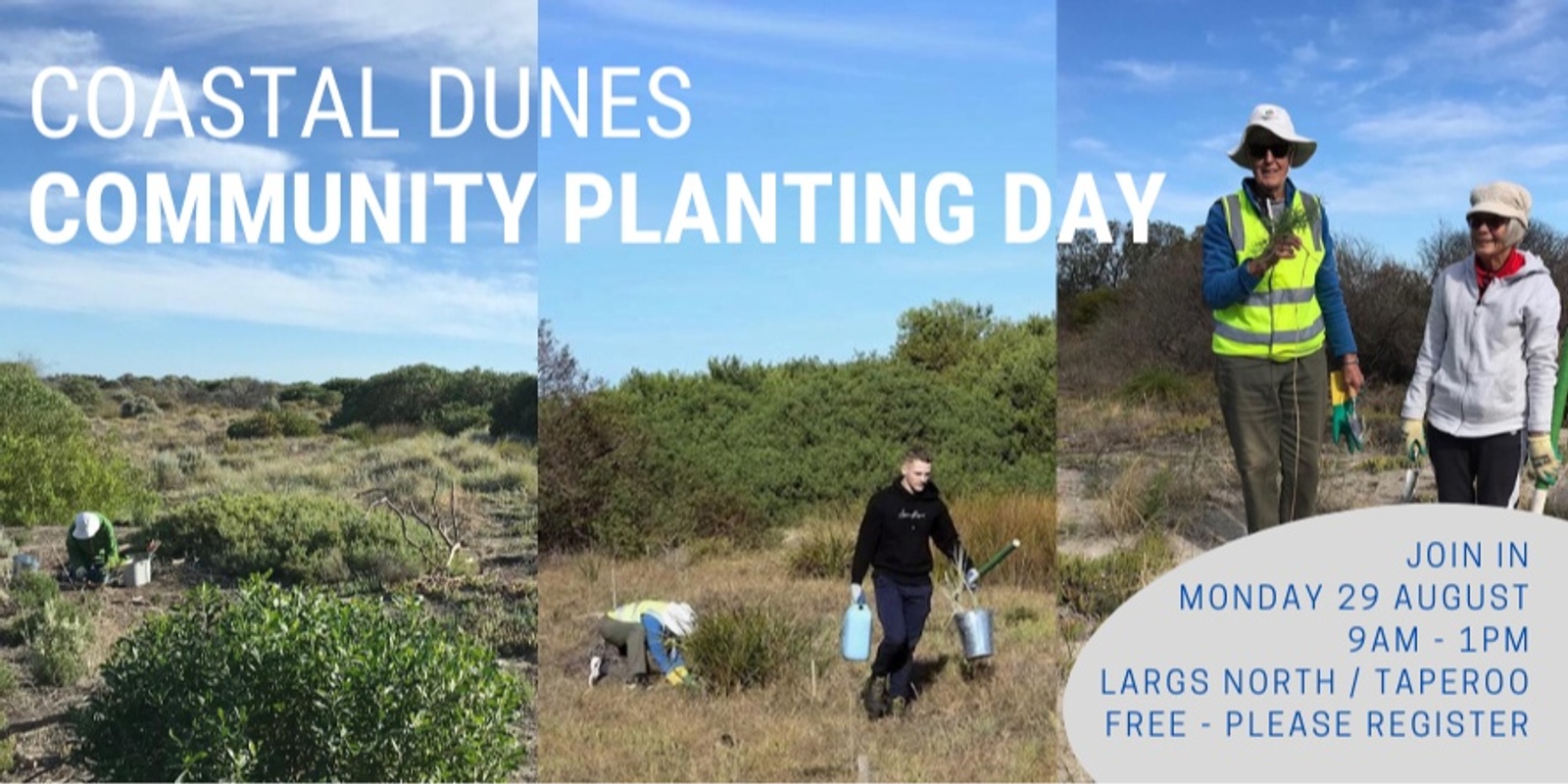 Banner image for Coastal Dunes Community Planting Day