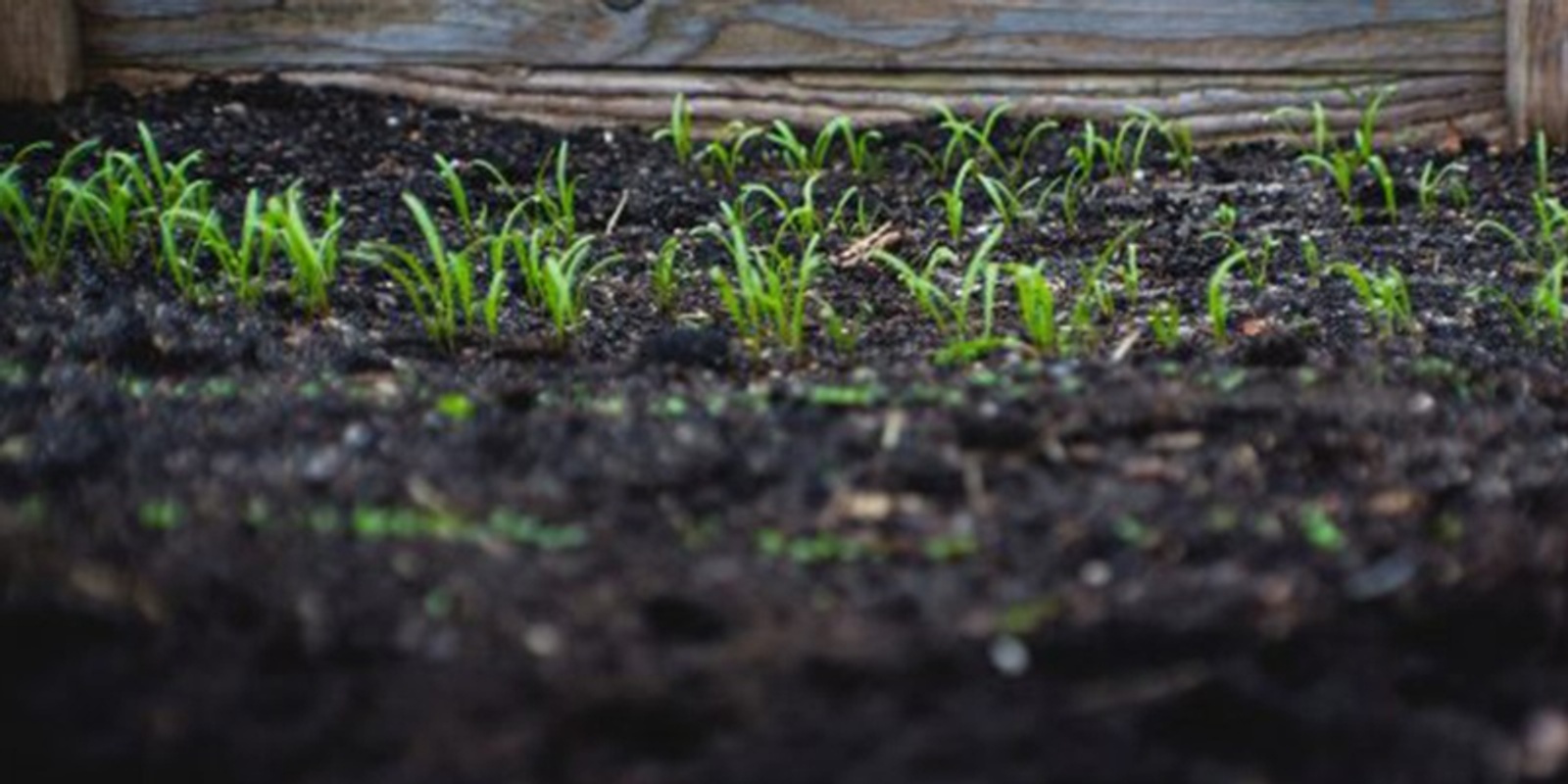 Banner image for Understanding Soils